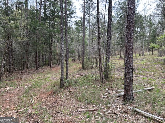 02 Hornets Bridge Drive, Elberton, GA 30635