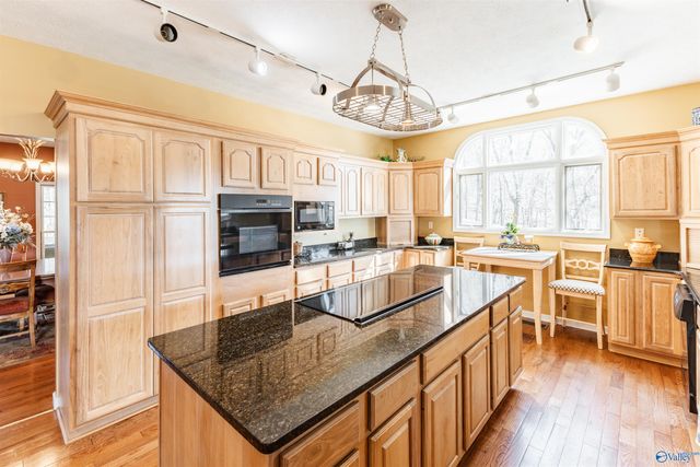 510 Eagle Point Road, Langston, AL 35755