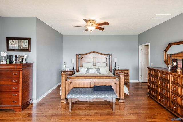 510 Eagle Point Road, Langston, AL 35755