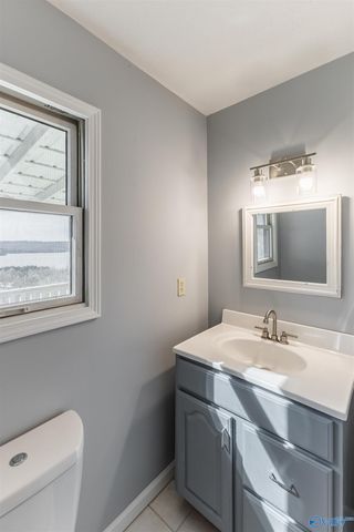 510 Eagle Point Road, Langston, AL 35755