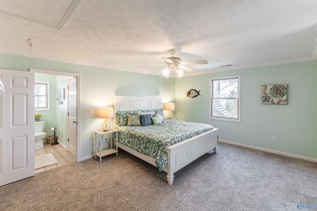 510 Eagle Point Road, Langston, AL 35755