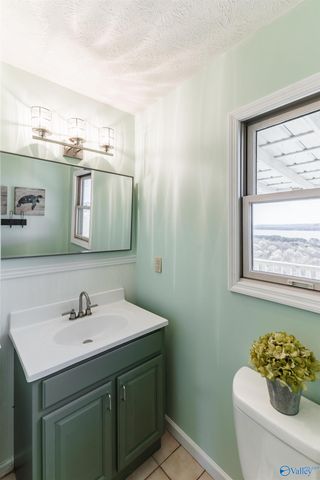 510 Eagle Point Road, Langston, AL 35755