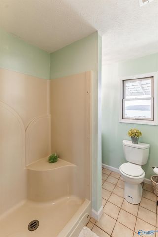 510 Eagle Point Road, Langston, AL 35755