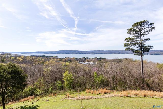 510 Eagle Point Road, Langston, AL 35755