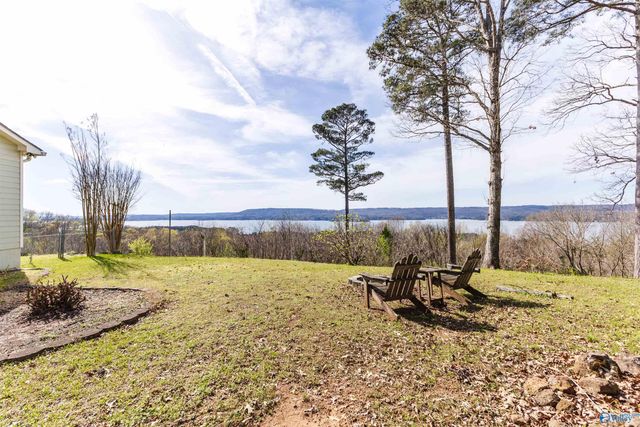 510 Eagle Point Road, Langston, AL 35755