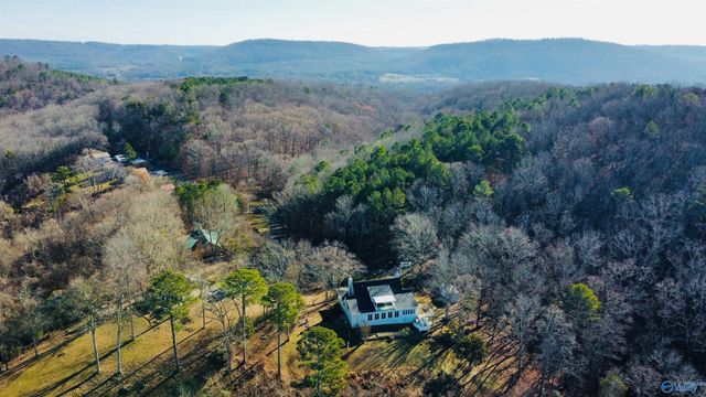 510 Eagle Point Road, Langston, AL 35755