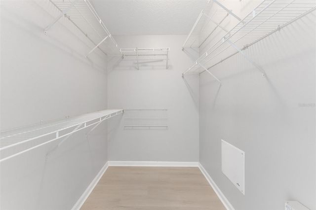 5341 WAR ADMIRAL DRIVE, Wesley Chapel, FL 33544