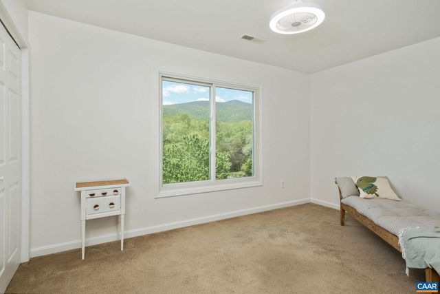 164 SUNNYSIDE LN, Afton, VA 22920