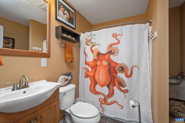 164 SUNNYSIDE LN, Afton, VA 22920