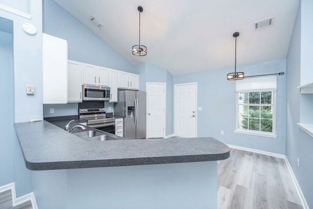 3346 Lindner Lane, Mount Pleasant, SC 29466