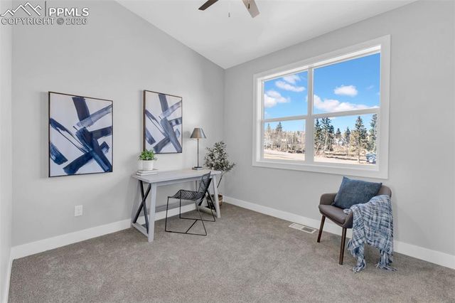 101 W Warren Avenue Unit 4, Cripple Creek, CO 80813