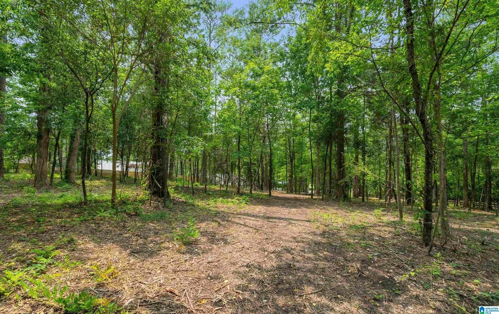 3420 PRIMM LANE, Hoover, AL 35216