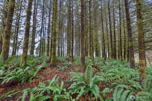 570 Wynooche Valley Road, Montesano, WA 98563