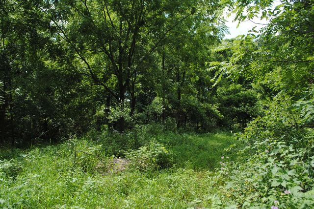3173 Luna Drive, Dexter, MI 48130