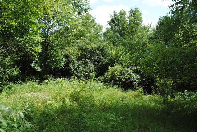 3173 Luna Drive, Dexter, MI 48130