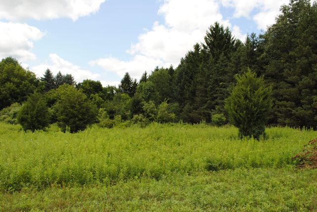3173 Luna Drive, Dexter, MI 48130