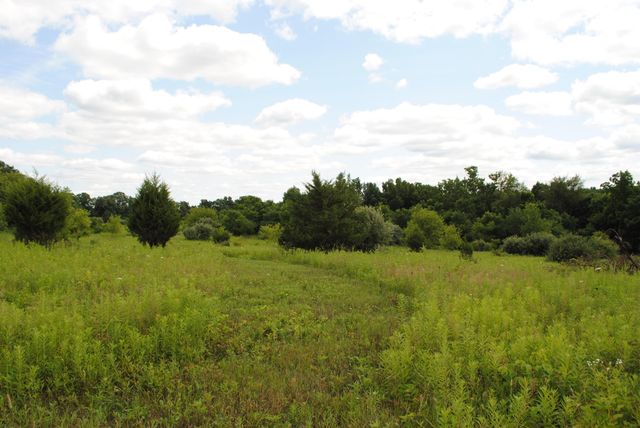 3173 Luna Drive, Dexter, MI 48130