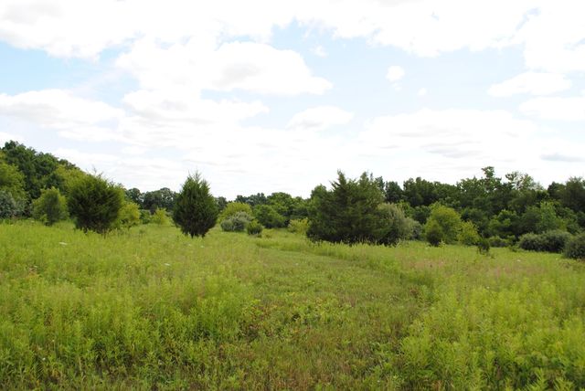 3173 Luna Drive, Dexter, MI 48130