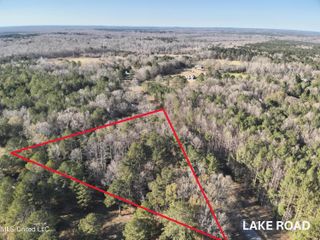 Lake Rd, Pelahatchie, MS 39145