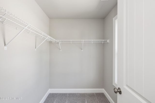 1126 Greenwood Avenue, Wilmington, NC 28403