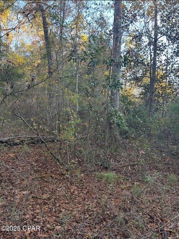 TBD Highway 90, Marianna, FL 32446
