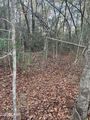 TBD Highway 90, Marianna, FL 32446