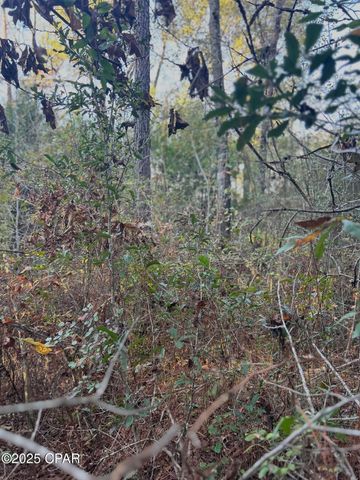 TBD Highway 90, Marianna, FL 32446