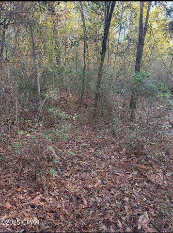 TBD Highway 90, Marianna, FL 32446
