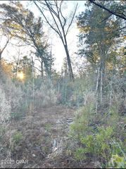 TBD Highway 90, Marianna, FL 32446