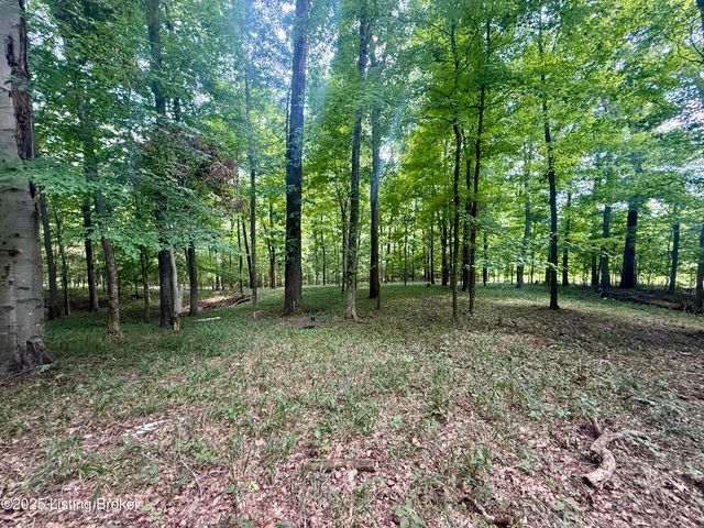 731 Camp Greenshores Ln, Mcdaniels, KY 40152