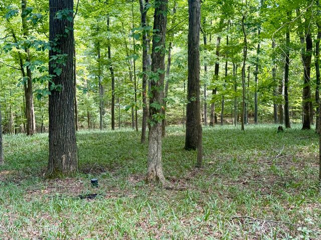 731 Camp Greenshores Ln, Mcdaniels, KY 40152