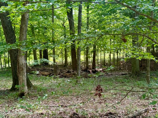 731 Camp Greenshores Ln, Mcdaniels, KY 40152