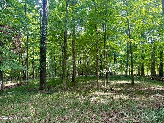 731 Camp Greenshores Ln, Mcdaniels, KY 40152