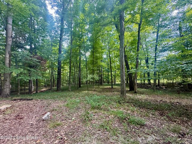 731 Camp Greenshores Ln, Mcdaniels, KY 40152