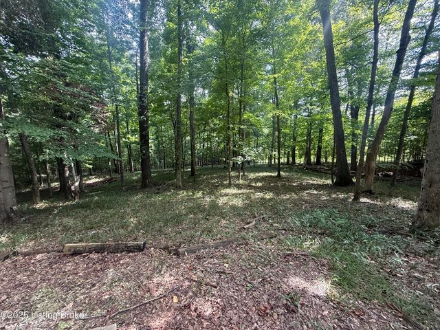 731 Camp Greenshores Ln, Mcdaniels, KY 40152