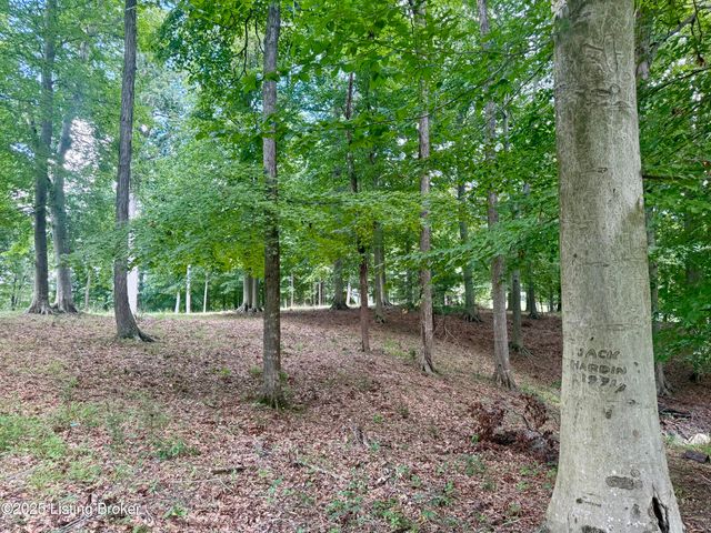 731 Camp Greenshores Ln, Mcdaniels, KY 40152