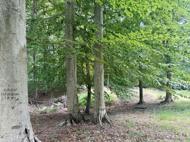 731 Camp Greenshores Ln, Mcdaniels, KY 40152