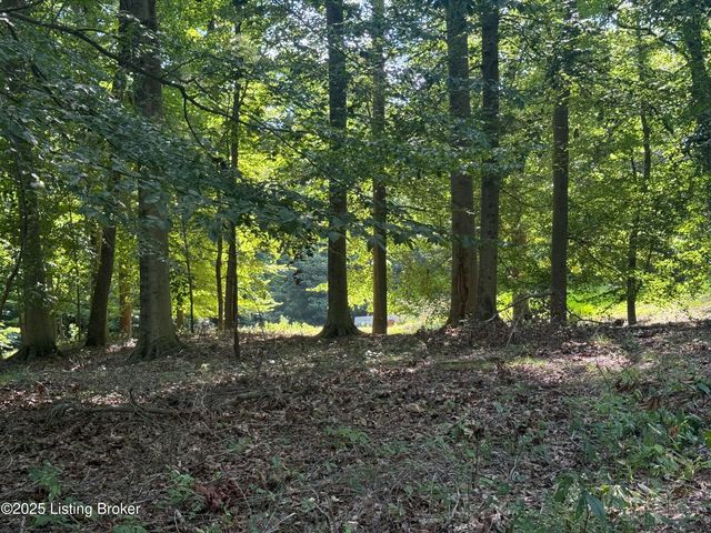 731 Camp Greenshores Ln, Mcdaniels, KY 40152