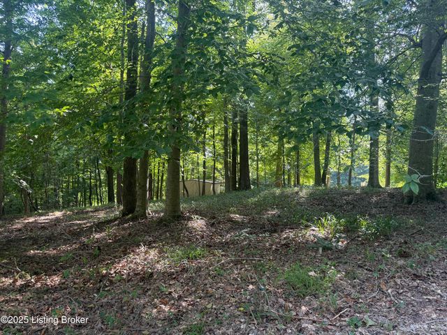 731 Camp Greenshores Ln, Mcdaniels, KY 40152