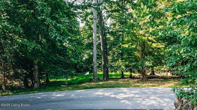 731 Camp Greenshores Ln, Mcdaniels, KY 40152