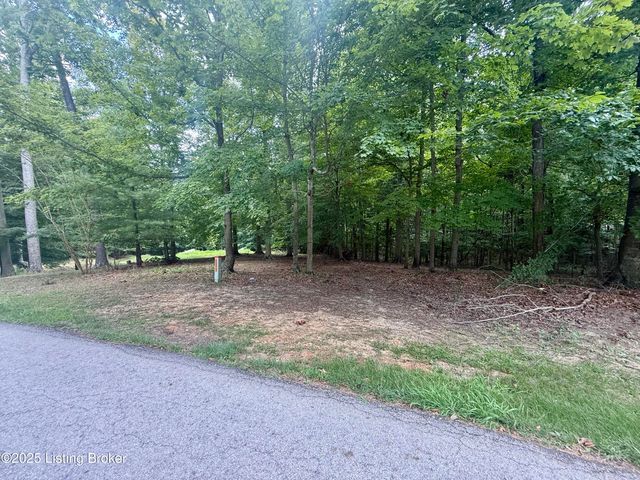 731 Camp Greenshores Ln, Mcdaniels, KY 40152