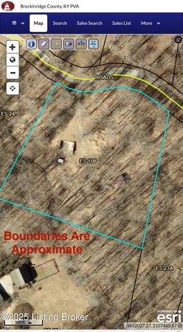 731 Camp Greenshores Ln, Mcdaniels, KY 40152