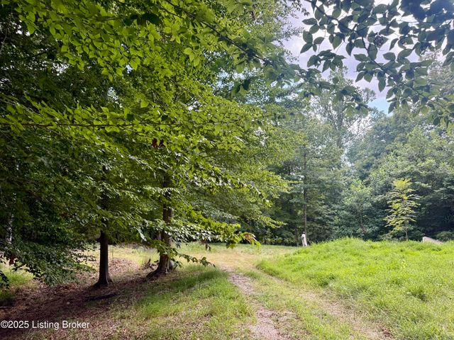 731 Camp Greenshores Ln, Mcdaniels, KY 40152