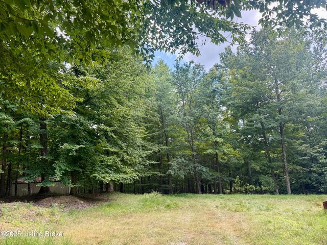 731 Camp Greenshores Ln, Mcdaniels, KY 40152