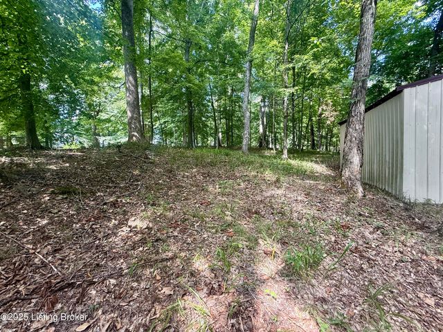 731 Camp Greenshores Ln, Mcdaniels, KY 40152