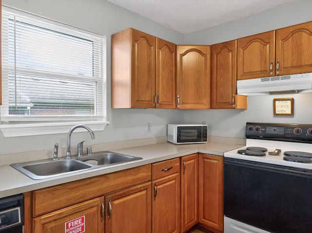 502 Tecumseh Trail A, Versailles, KY 40383