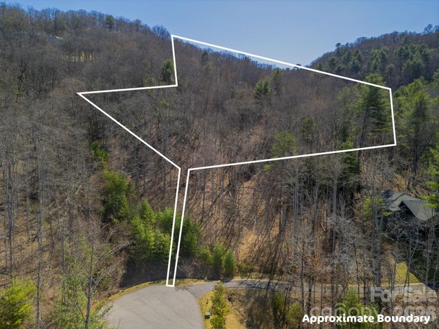 11 Franklin Trace Drive 15, Asheville, NC 28804