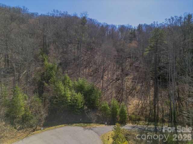 11 Franklin Trace Drive 15, Asheville, NC 28804