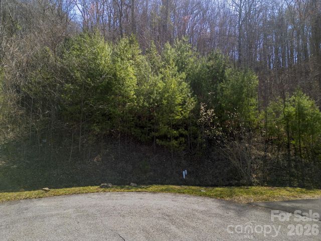 11 Franklin Trace Drive 15, Asheville, NC 28804