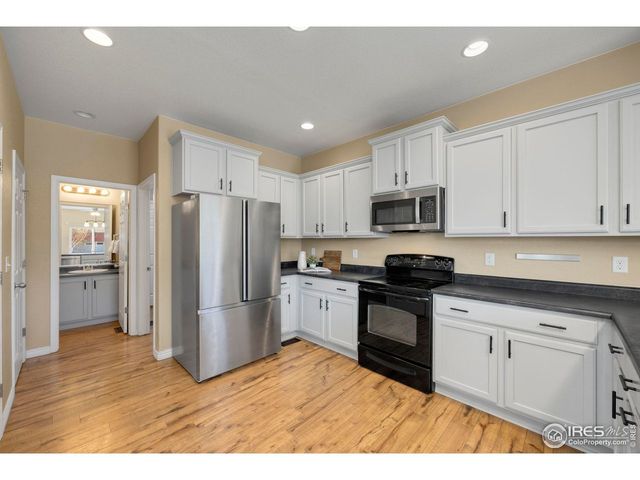 1555 Benfleet Ct, Windsor, CO 80550